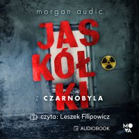 Jaskółki z Czarnobyla - Morgan Audic - audiobook