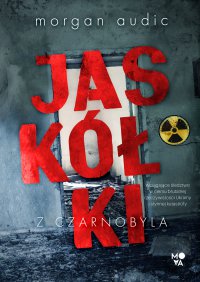 Jaskółki z Czarnobyla - Morgan Audic - ebook