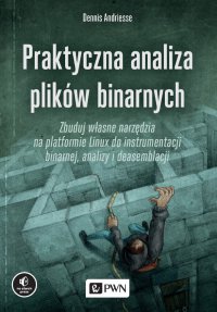 Praktyczna analiza plików binarnych - Dennis Andriesse - ebook
