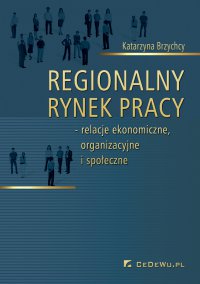 Regionalny rynek pracy – relacje ekonomiczne, organizacyjne i społeczne - Katarzyna Brzychcy - ebook