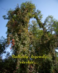 Ballady, legendy czeskie... - Antologia - ebook