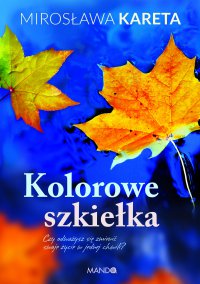 Kolorowe szkiełka - Mirosława Kareta - ebook