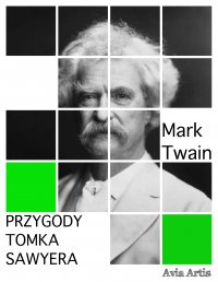 Przygody Tomka Sawyera - Mark Twain - ebook