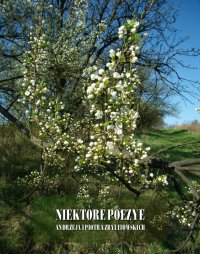 Niektóre poezye Andrzeja i Piotra Zbylitowskich - Piotr Zbylitowski - ebook