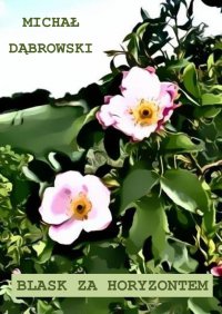 Blask za horyzontem - Michał Dąbrowski - ebook
