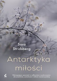 Antarktyka miłości - Sara Stridsberg - ebook