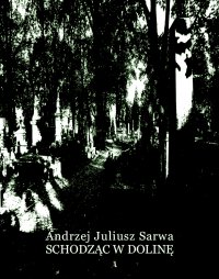 Schodząc w dolinę - Andrzej Juliusz Sarwa - ebook