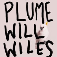Plume - Will Wiles - audiobook