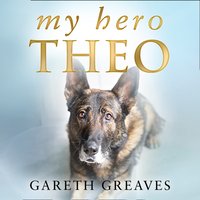 My Hero Theo - Gareth Greaves - audiobook