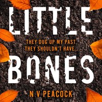 Little Bones - N V Peacock - audiobook