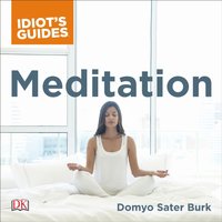 Complete Idiot's Guide to Meditation - Joan Budilovsky - audiobook
