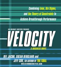 Velocity - Suzan Bergland - audiobook