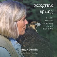 Peregrine Spring
