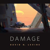 Damage - David D. Levine - audiobook