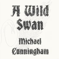 Wild Swan