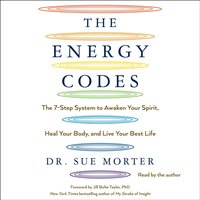 Energy Codes - Sue Morter - audiobook