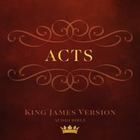 Book of Acts - Made for Success - audiobook