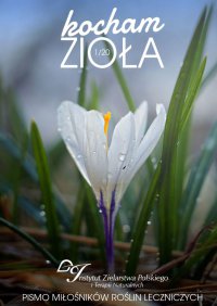 Kocham Zioła 1/2020 - Instytut Zielarstwa Polskiego i Terapii Naturalnych - ebook