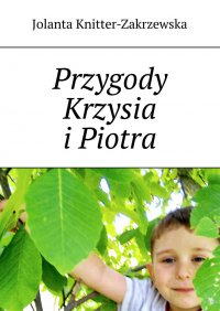 Przygody Krzysia i Piotra - Jolanta Knitter-Zakrzewska - ebook