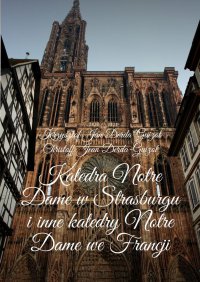 Katedra Notre Dame w Strasburgu i inne katedry Notre Dame we Francji - Krzysztof Derda-Guizot - ebook