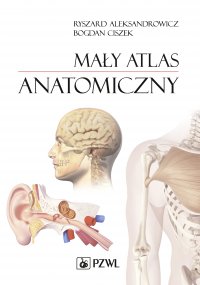 Mały atlas anatomiczny - Ryszard Aleksandrowicz - ebook
