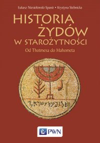 Historia Żydów w starożytności - Łukasz Niesiołowski-Spano - ebook