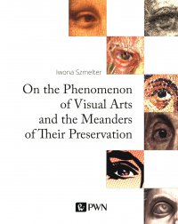On the Phenomenon of Visual Arts and the Meanders of Their Preservation - Iwona Szmelter - ebook