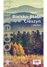 Bielsko-Biała, Cieszyn i okolice. Travelbook. Wydanie 1 - Iwona Baturo - ebook