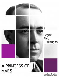 A Princess of Mars - Edgar Rice Burroughs - ebook