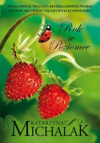 Rok w Poziomce - Katarzyna Michalak - ebook