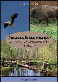 Puszcza Białowieska - Ostatni las pierwotny Europy - Wojciech Biedroń - ebook