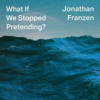 What If We Stopped Pretending? - Jonathan Franzen - audiobook