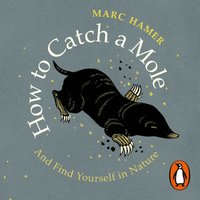 How to Catch a Mole - Marc Hamer - audiobook