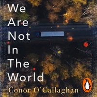 We Are Not in the World - Conor O'Callaghan - audiobook