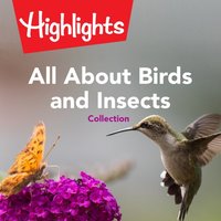 All About Birds and Insects Collection - Valerie Houston - audiobook