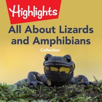 All About Lizards and Amphibians Collection - Highlights for Children - audiobook