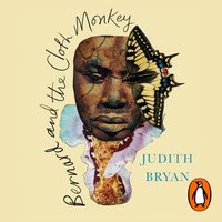 Bernard and the Cloth Monkey - Judith Bryan - audiobook