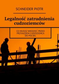 Legalność zatrudnienia cudzoziemców - Schneider Piotr - ebook