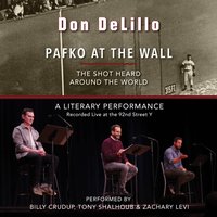 Pafko at the Wall - Don DeLillo - audiobook