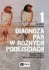 Diagnoza w psychoterapii par. Tom 1. Diagnoza par w różnych podejściach - Bartosz Zalewski - ebook