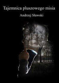 Tajemnica pluszowego misia - Andrzej Sławski - ebook