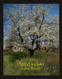 Ogród Rajski i inne baśnie - Hans Christian Andersen - ebook