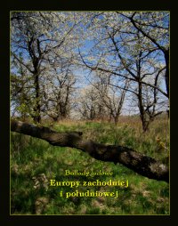 Ballady ludowe Europy zachodniej i południowej - Antologia - ebook