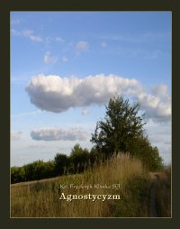Agnostycyzm - Ks. Fryderyk Klimke SJ - ebook