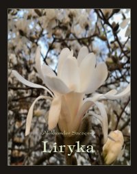 Liryka - Aleksander Szczęsny - ebook