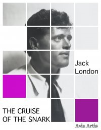 The Cruise of the Snark - Jack London - ebook