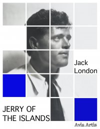 Jerry of the Islands - Jack London - ebook