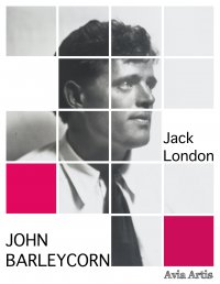 John Barleycorn - Jack London - ebook