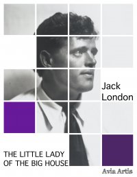 The Little Lady of the Big House - Jack London - ebook