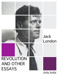 Revolution and Other Essays - Jack London - ebook